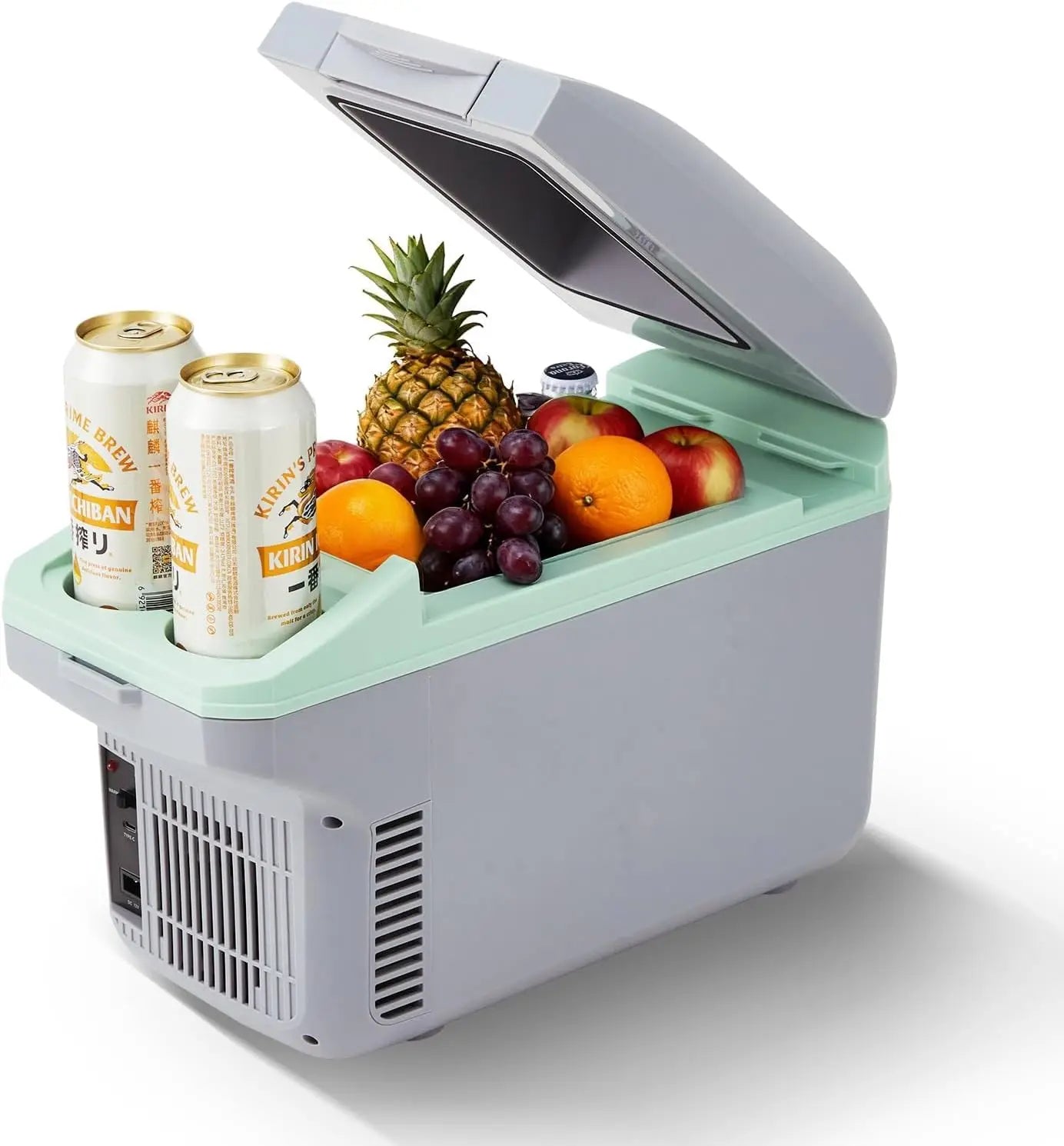 8L Portable Car Fridge & Warmer