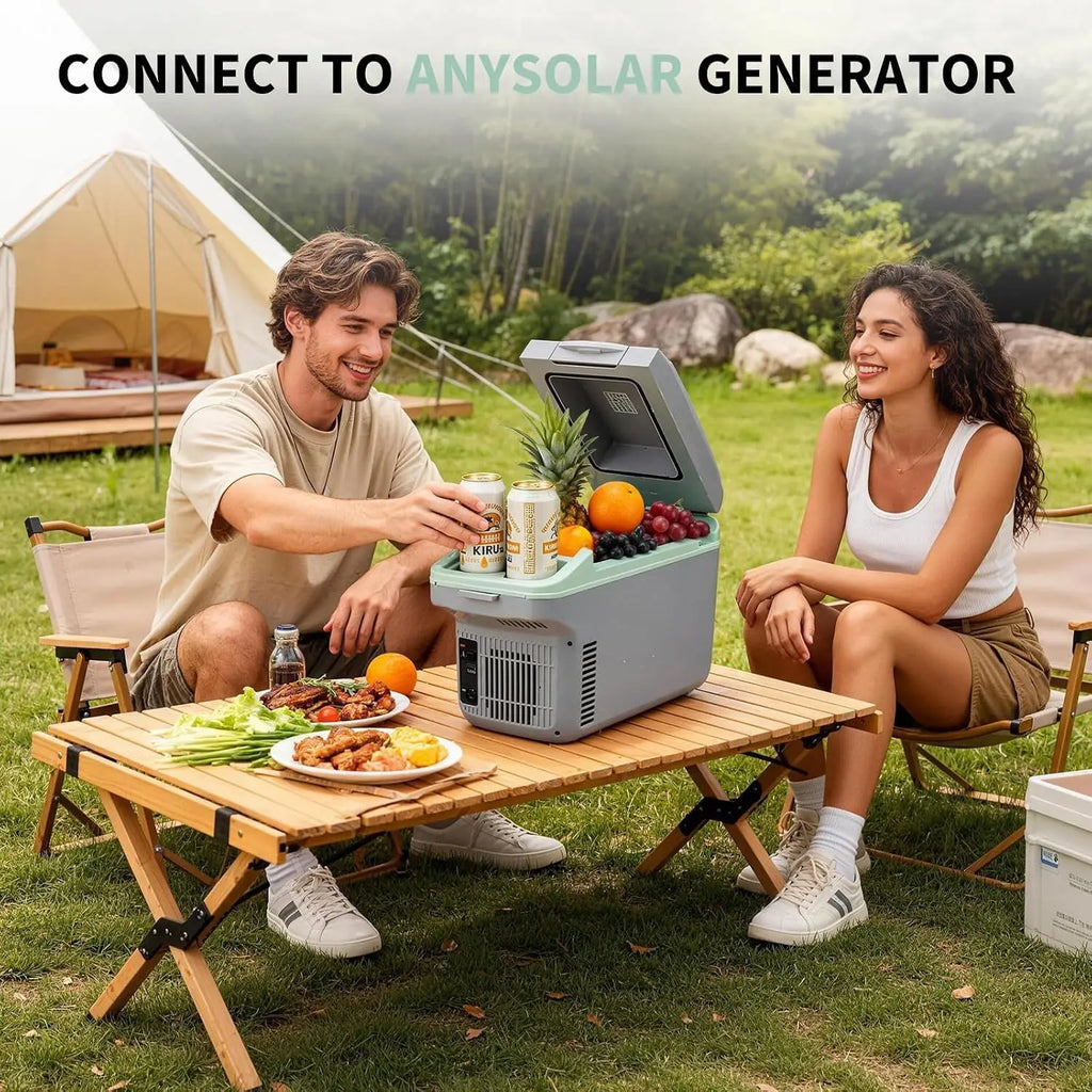 8L Portable Car Fridge & Warmer